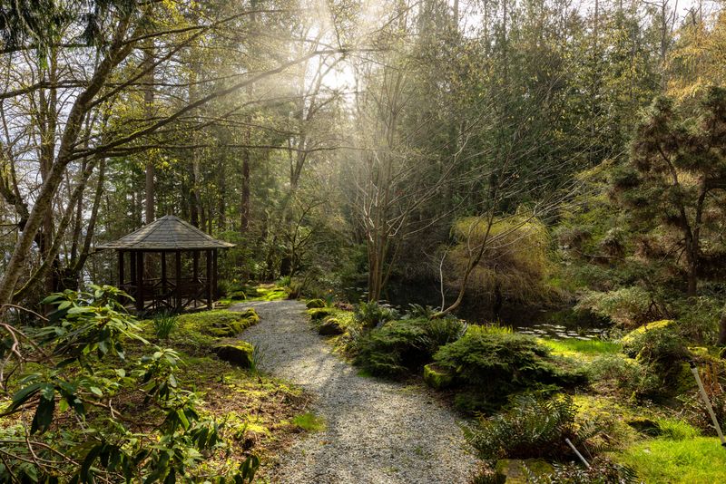 Walking trail through the forest at BrightWoods on Salt Spring Island
