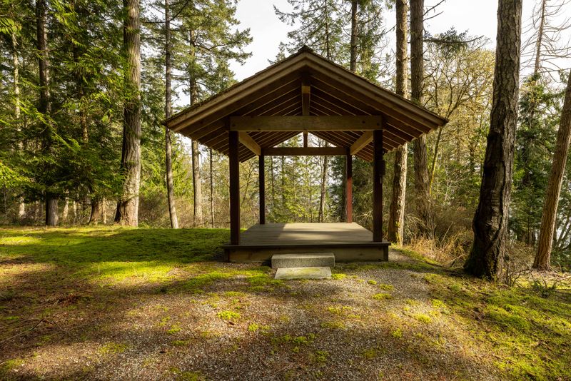 Gazebo among the trees at BrightWoods